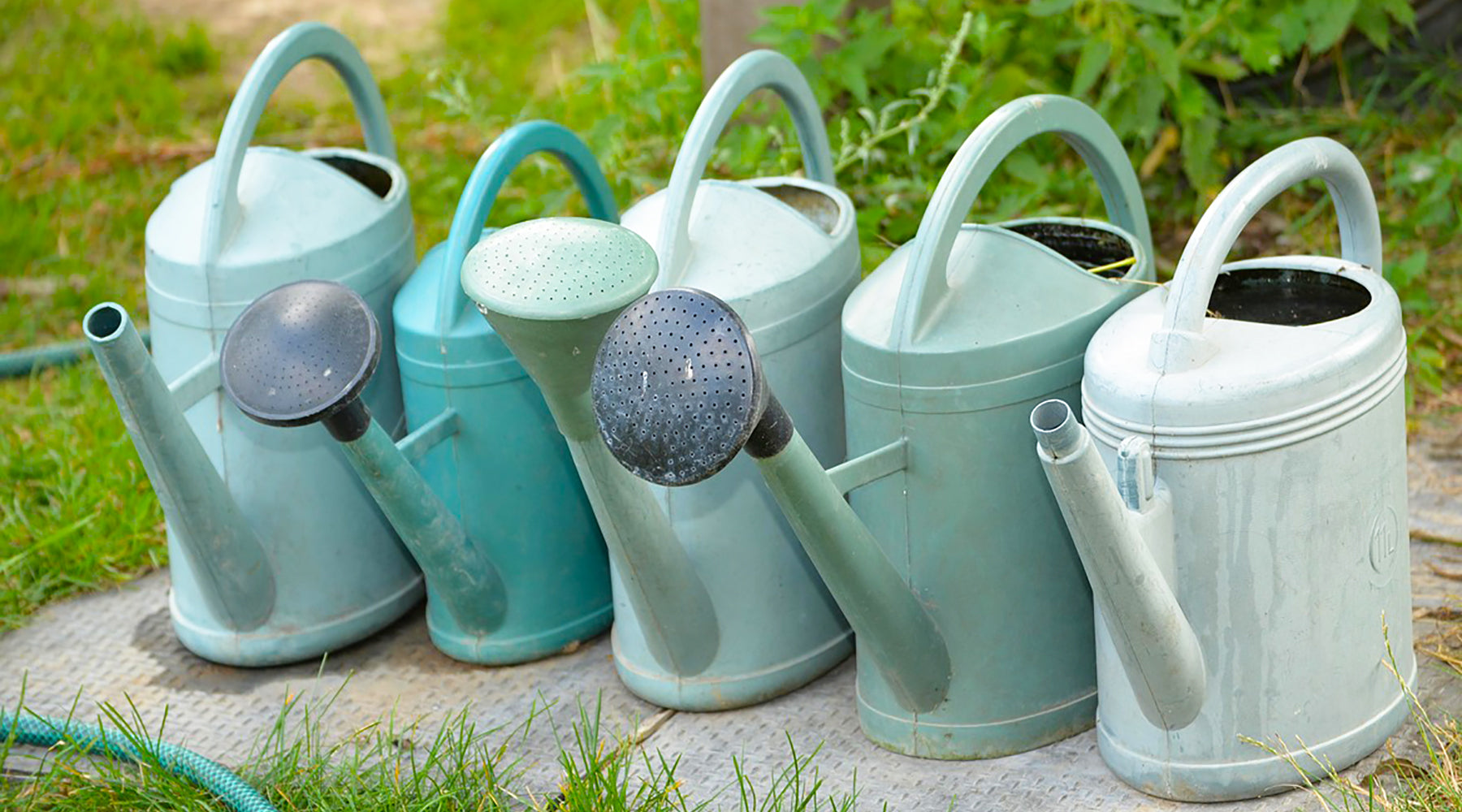 Caring for your garden in dry weather