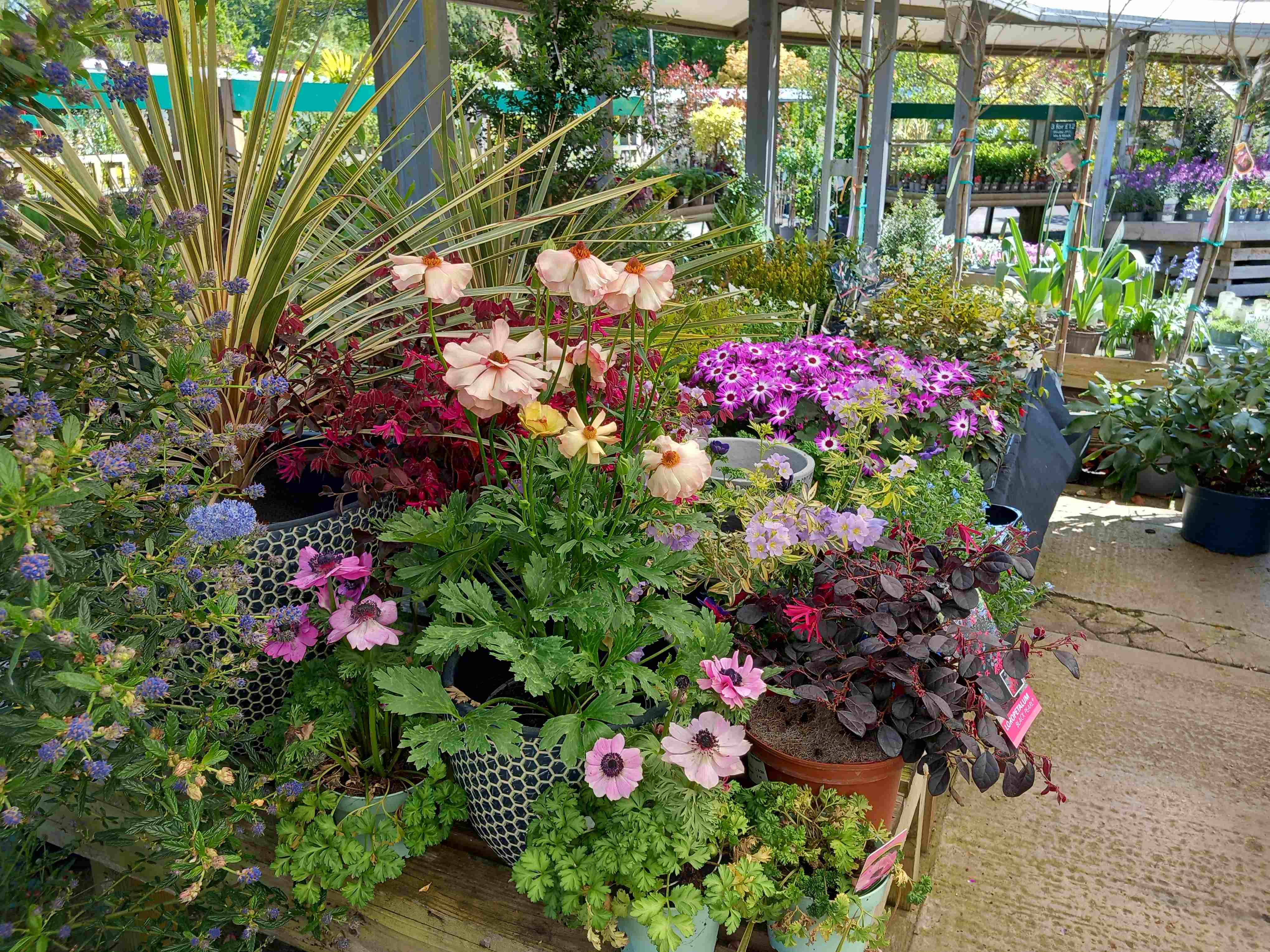 Natural Pest Remedies for Your Cottage Garden