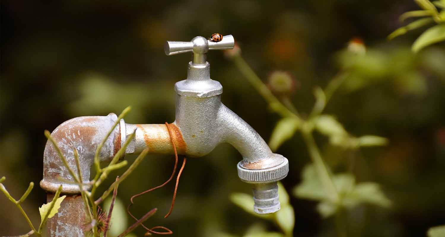Watering/Irrigation