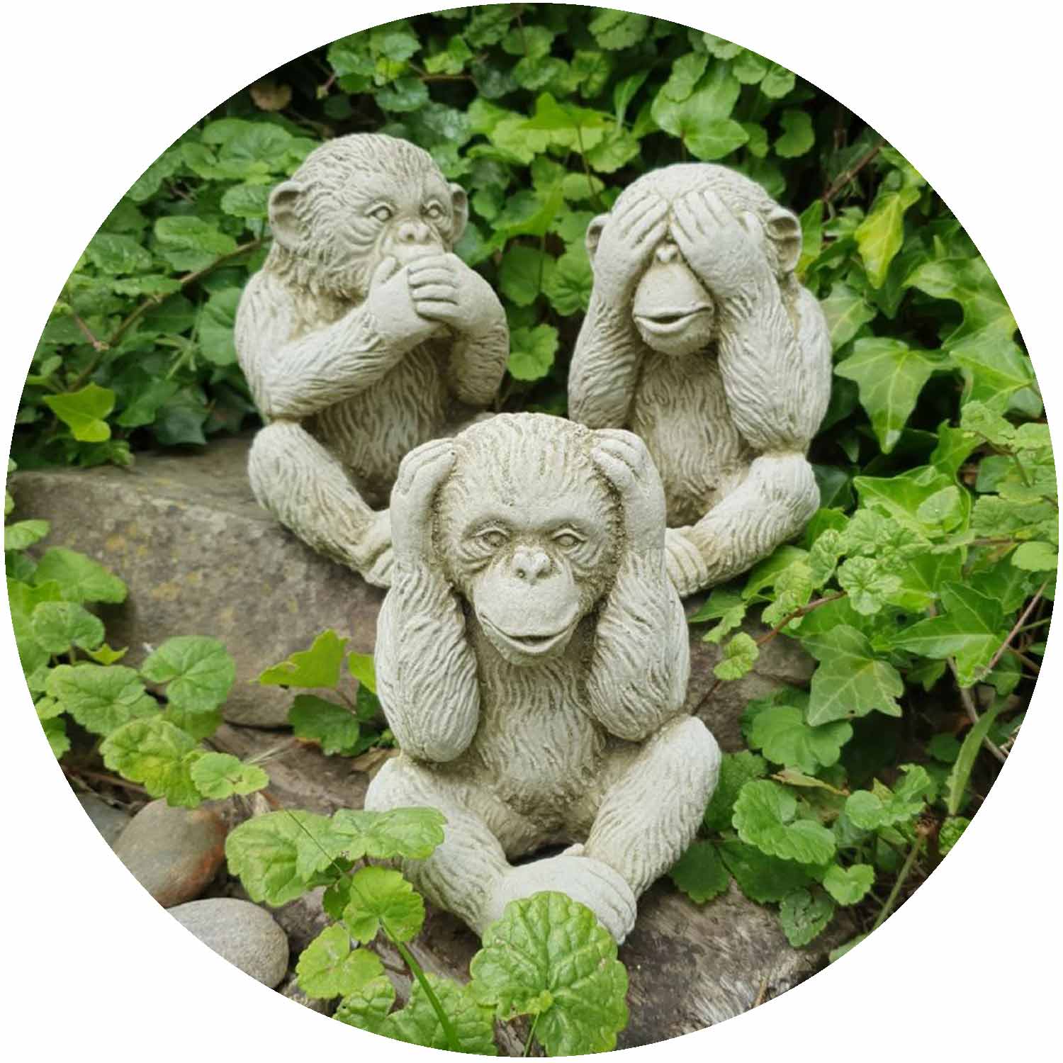 Three Wise Monkeys