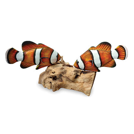 2 Nemo Clownfish On Driftwood