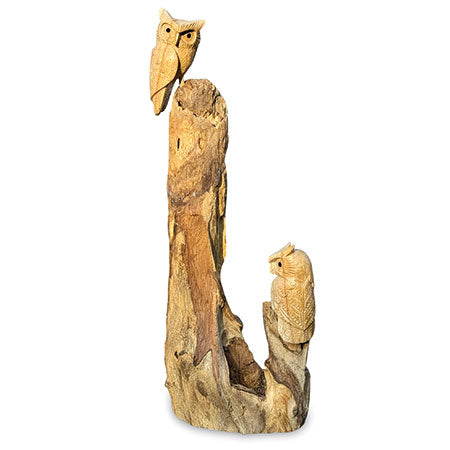 Double Tawny Owl On Driftwood