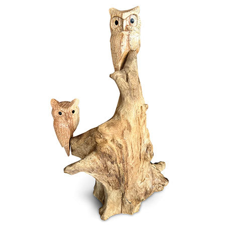 Double Tawny Owl On Driftwood