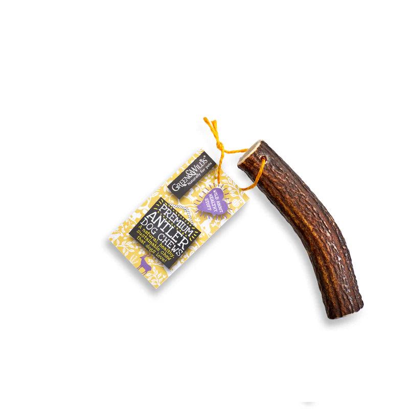 (GW) Original Antler Chew - Medium