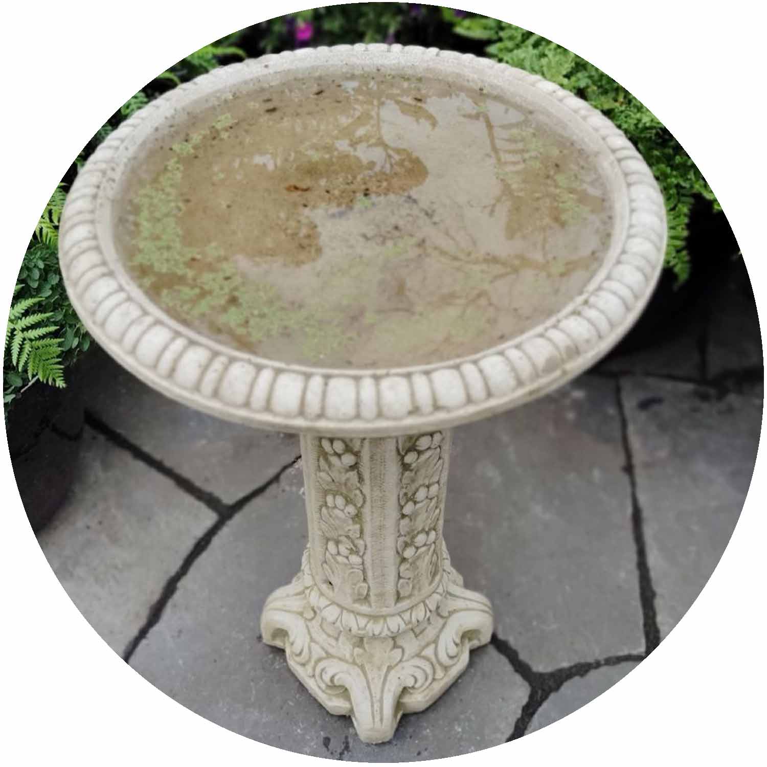 Acorn Birdbath