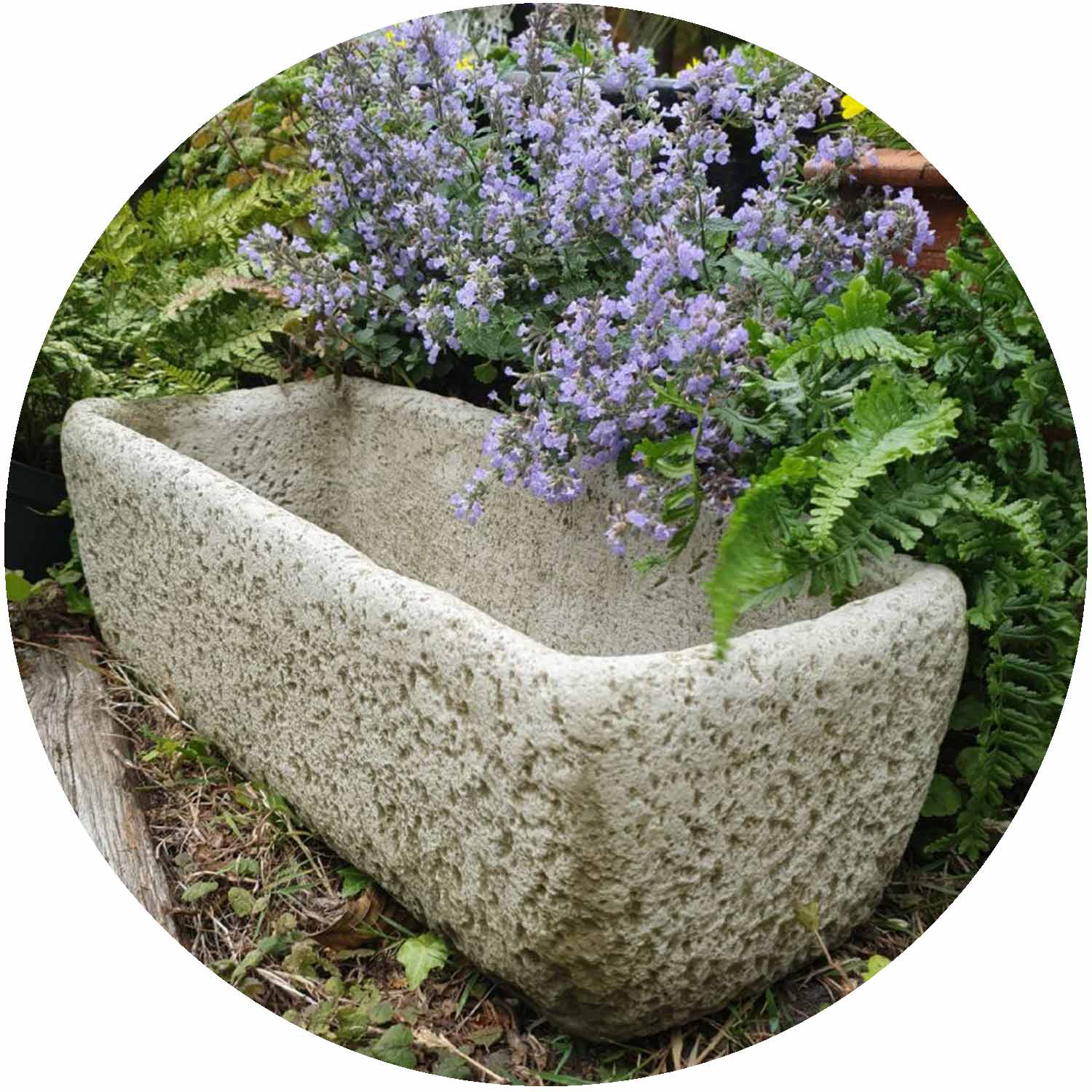 Alpine Planter