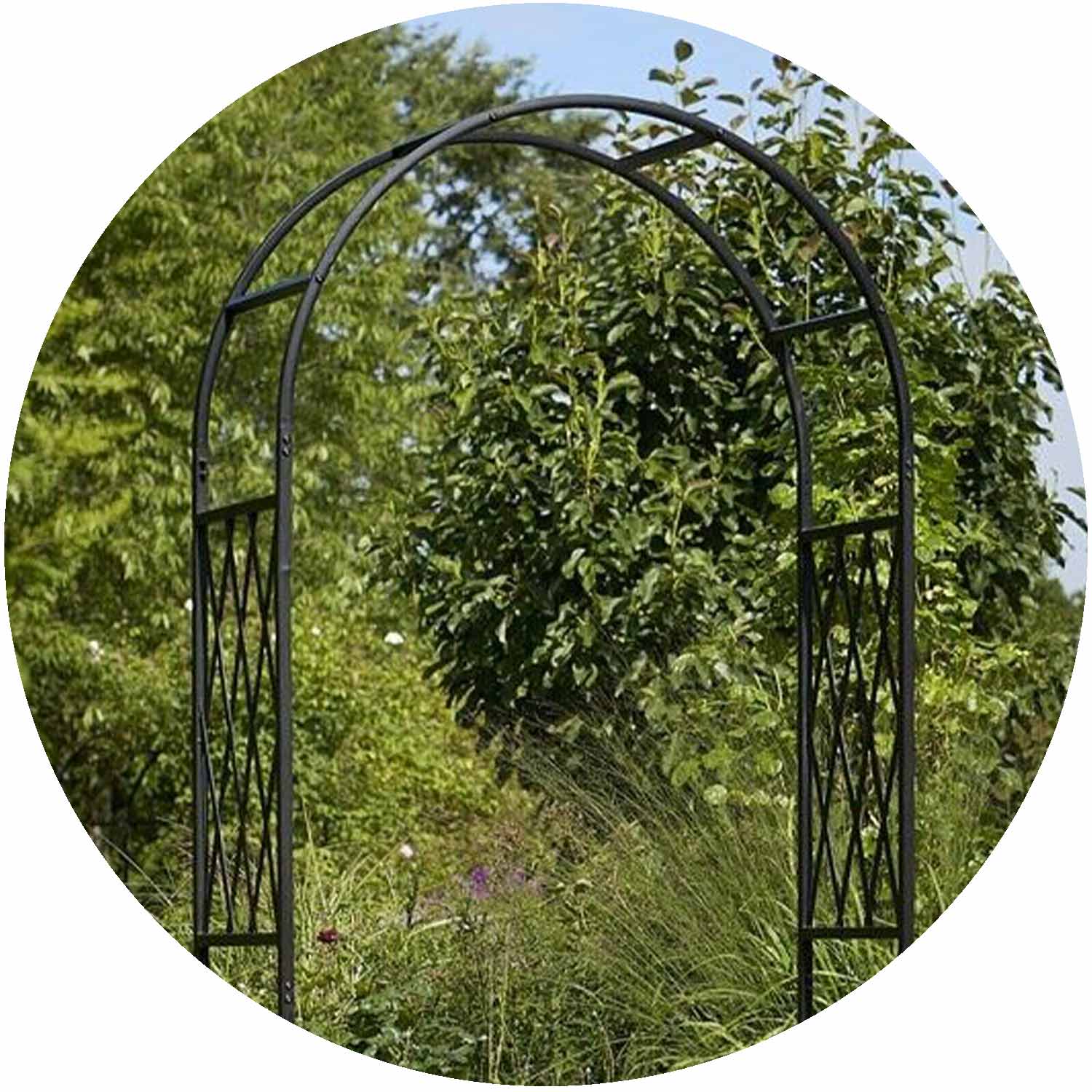 Aurora Garden Arch - Black