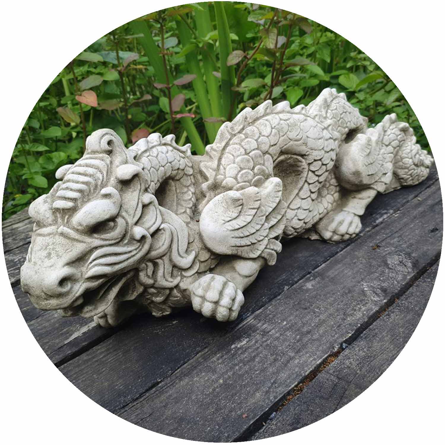 Chinese Dragon