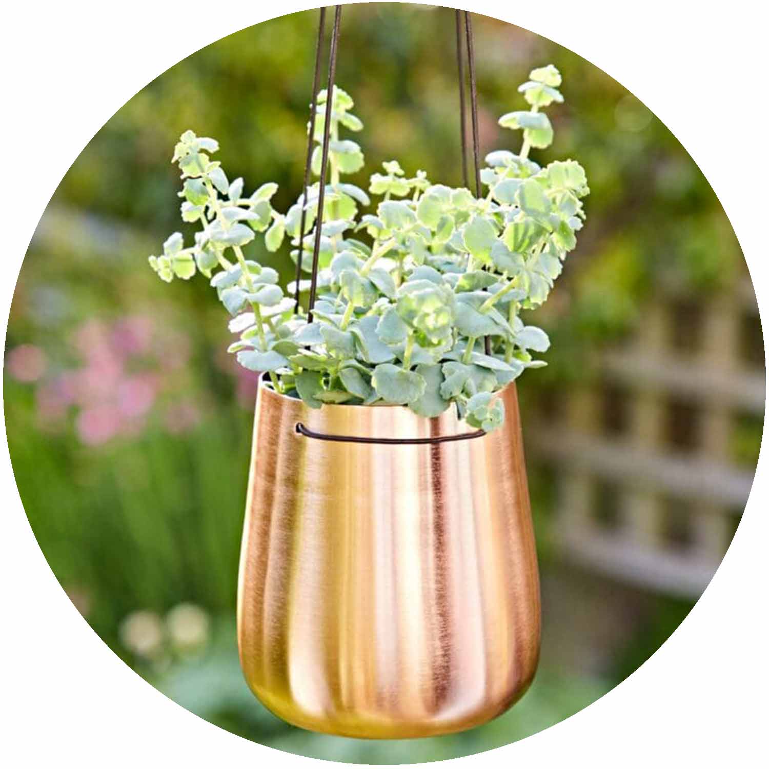 (PH) Hanging Iron Planter - Copper - Small