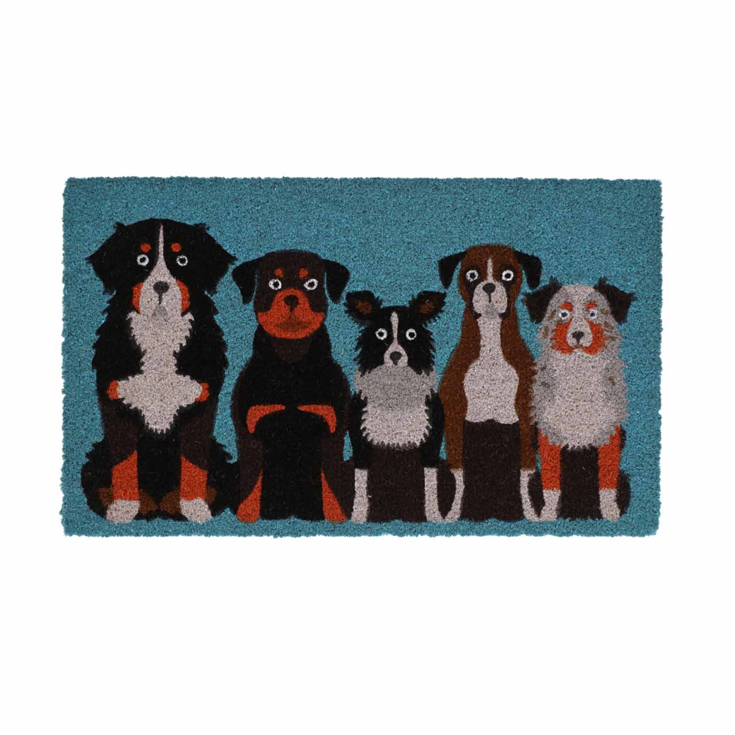 (FF) Coir Doormat