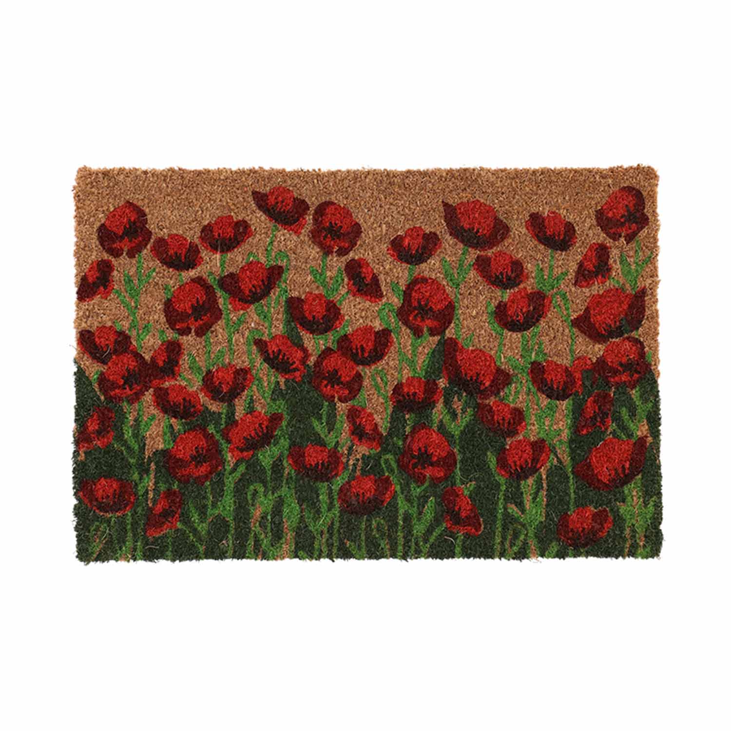 (FF) Coir Doormat