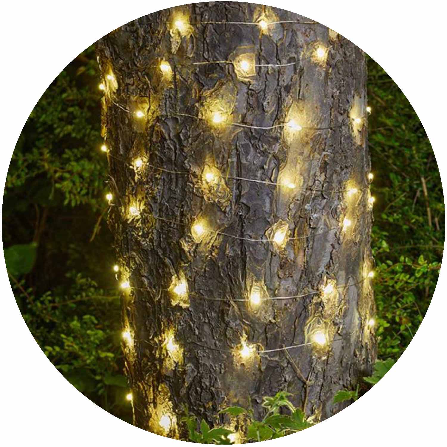 Ultra Firefly String Lights 50