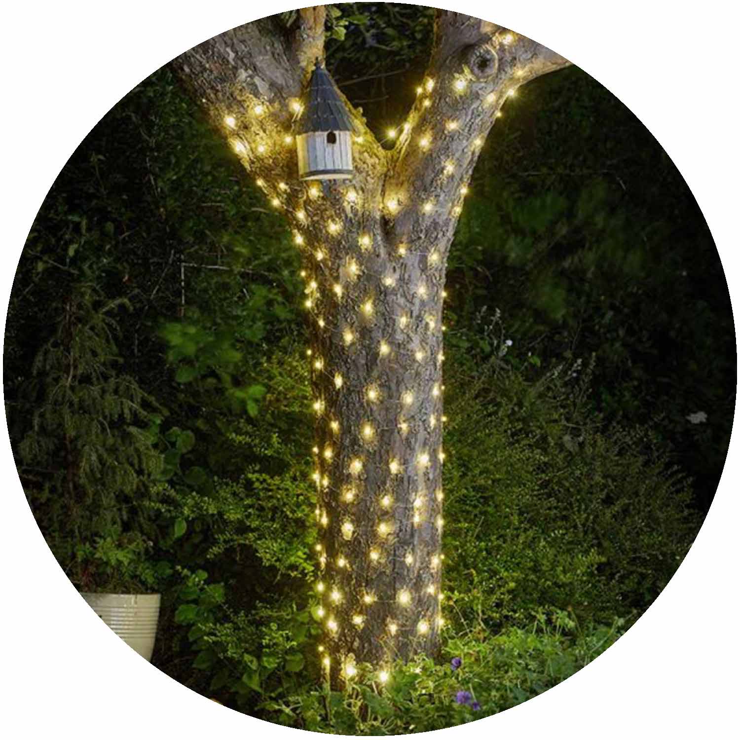 Ultra Firefly String Lights 50