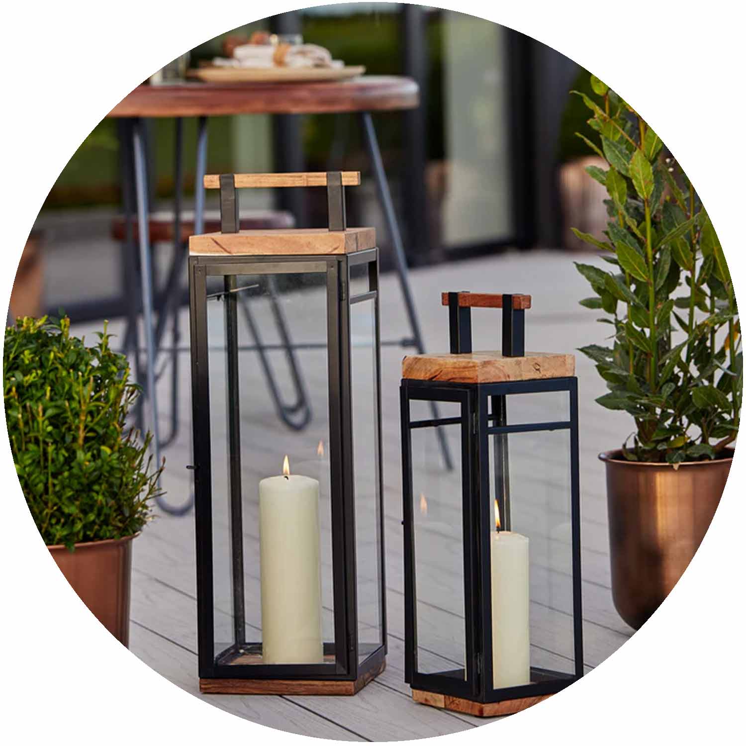 Grace Tall Lantern Acacia