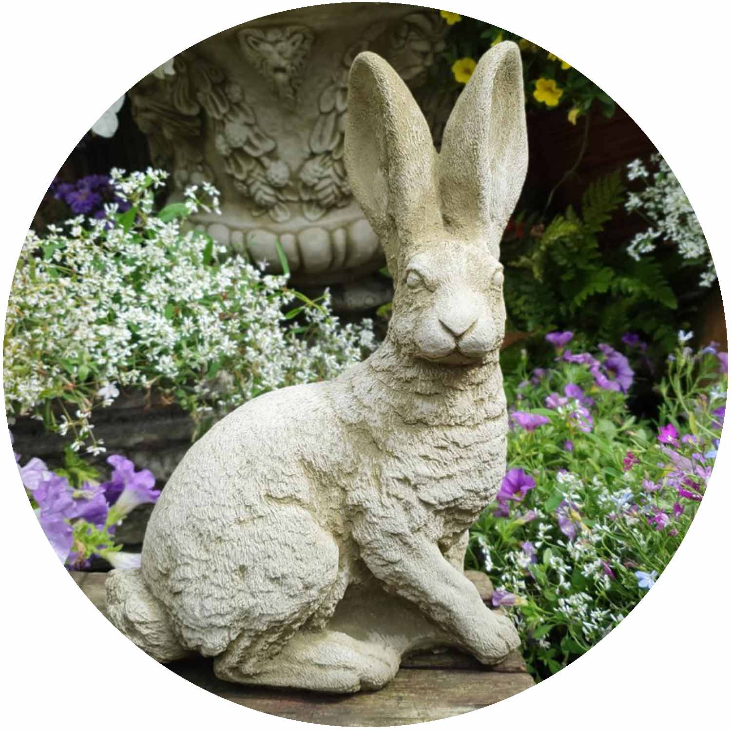 Hare