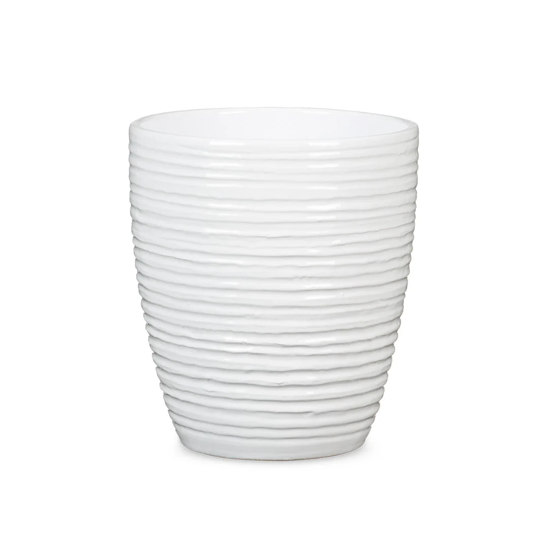 Alaska Weiss Orchid Pot Cover 14cm