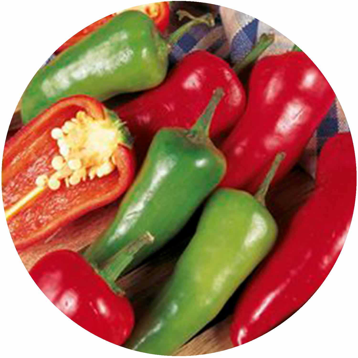 (GK) Chilli Pepper 9cm