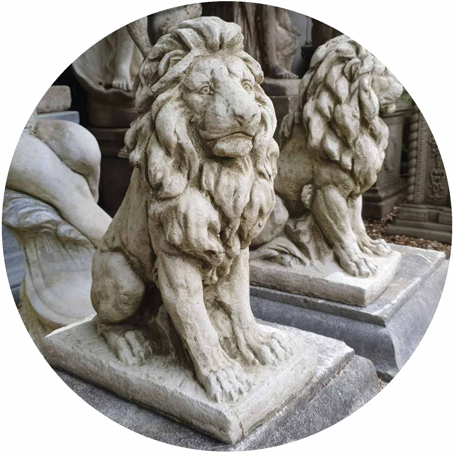 Lion Pair
