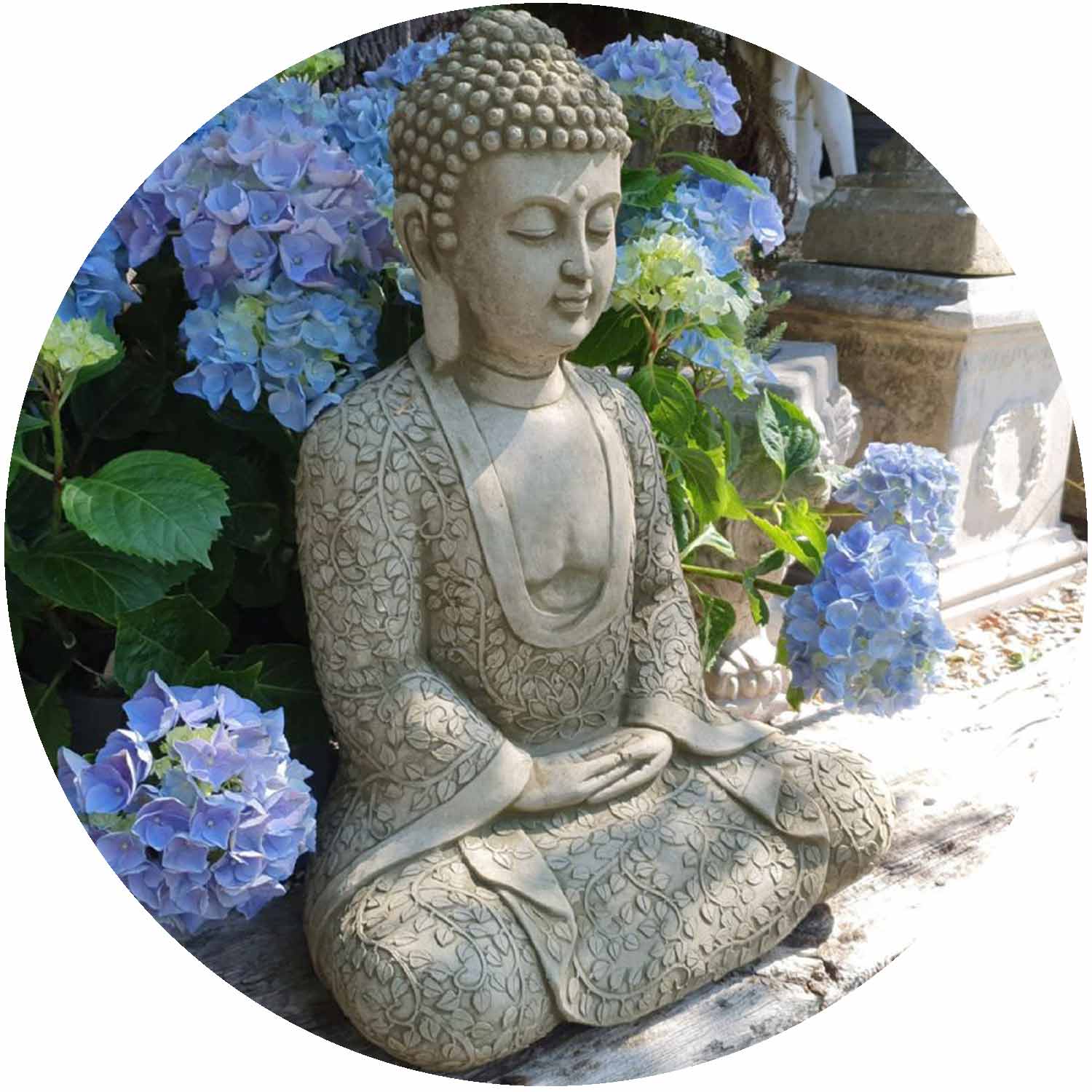 Lotus Robe Buddha
