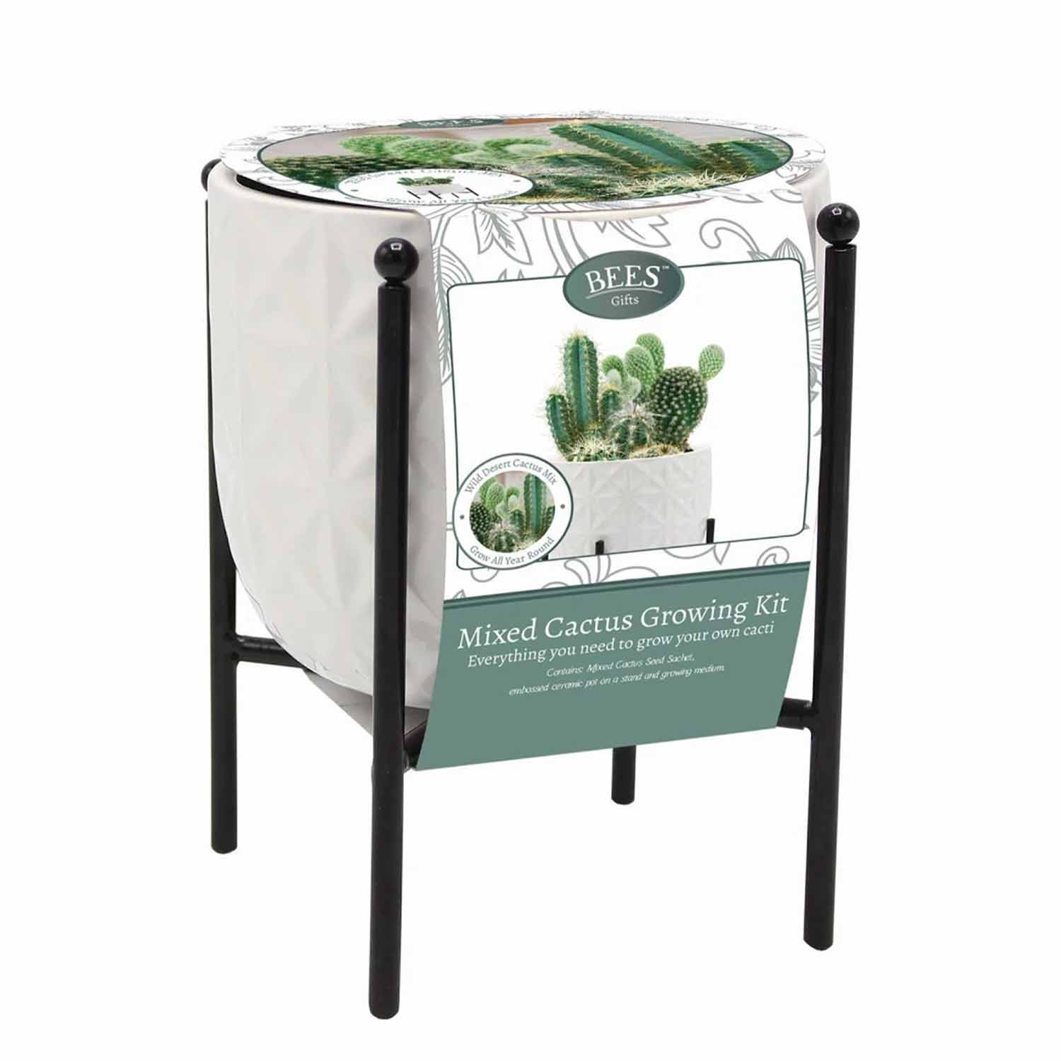 (BS) Cactus Indoor Gift Set