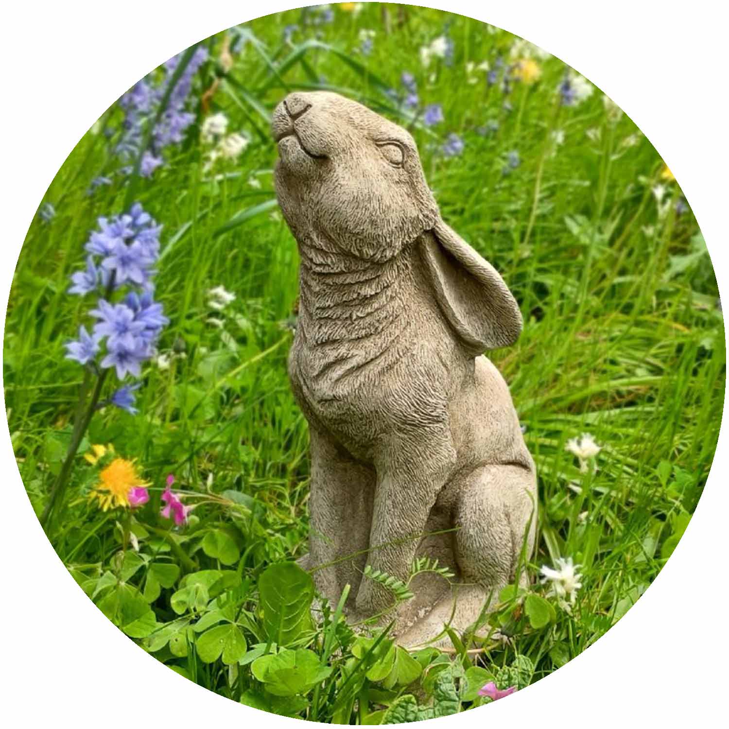 Moon Gazing Hare Large