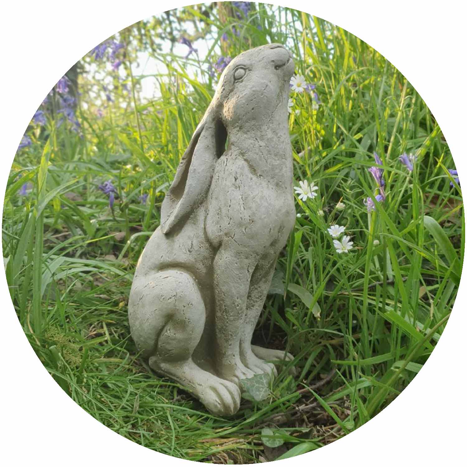 Moon Gazing Hare