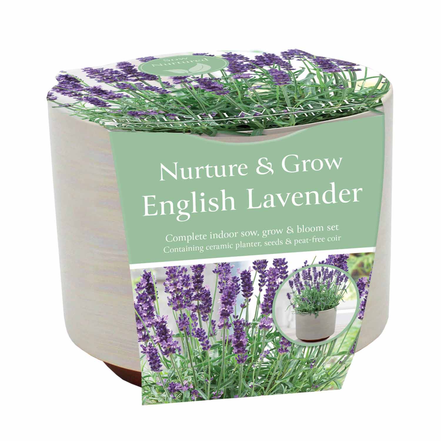 (BS) Sow Nurtured Ceramic Pearlescent Pot