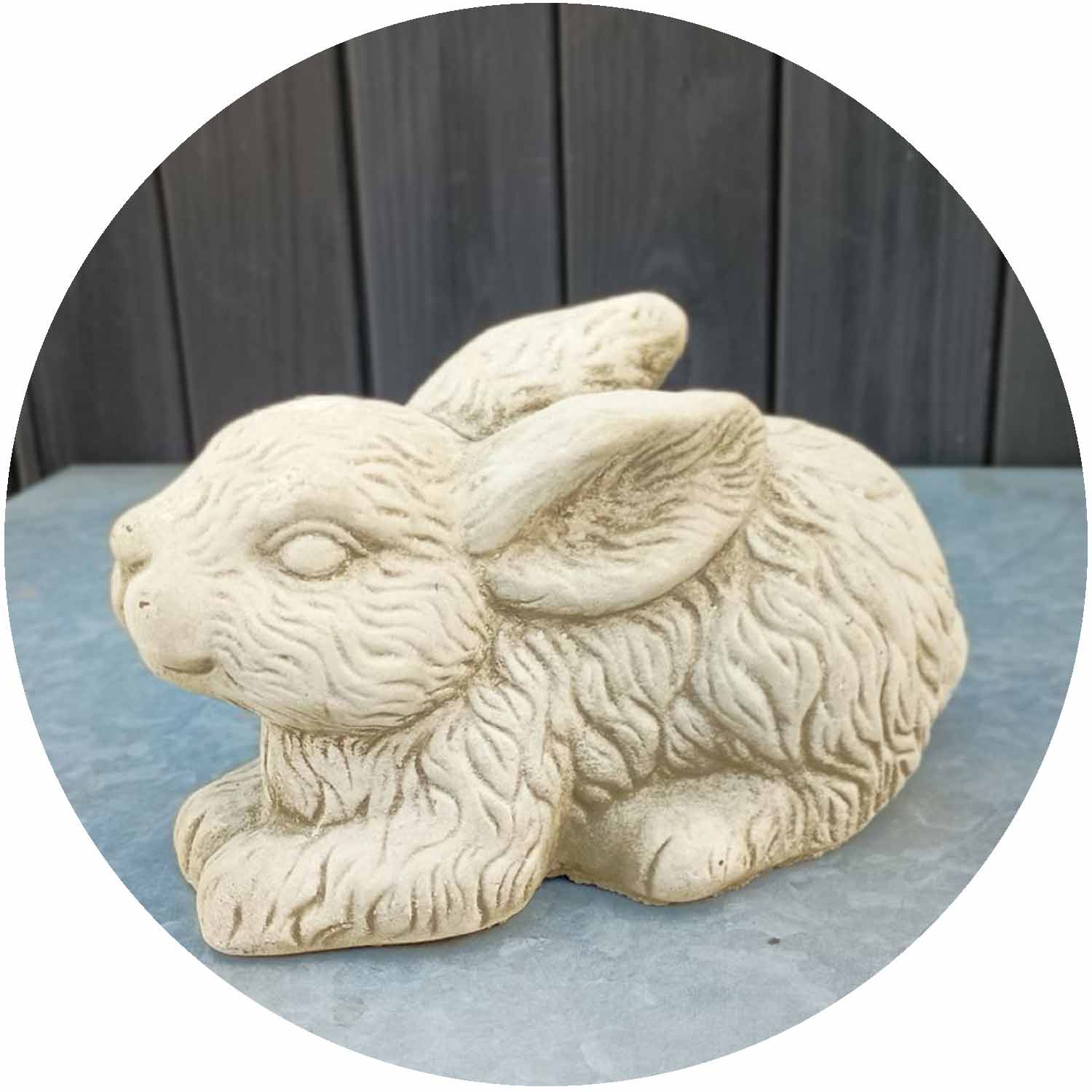 Rabbit
