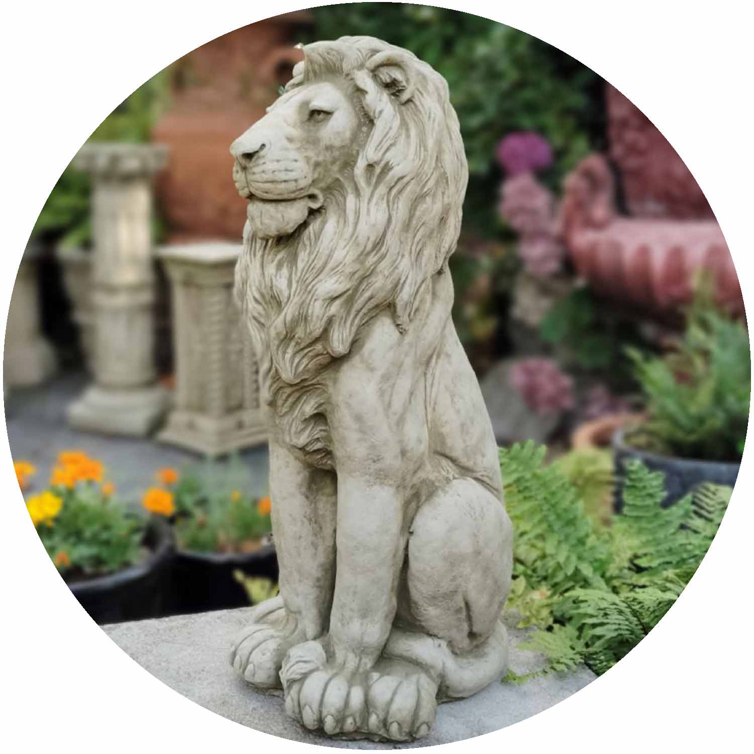 Regal Lion
