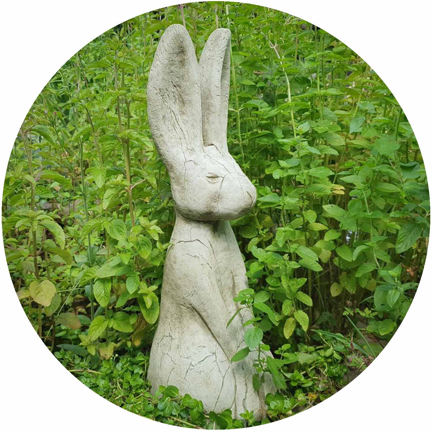 Rustic Hare