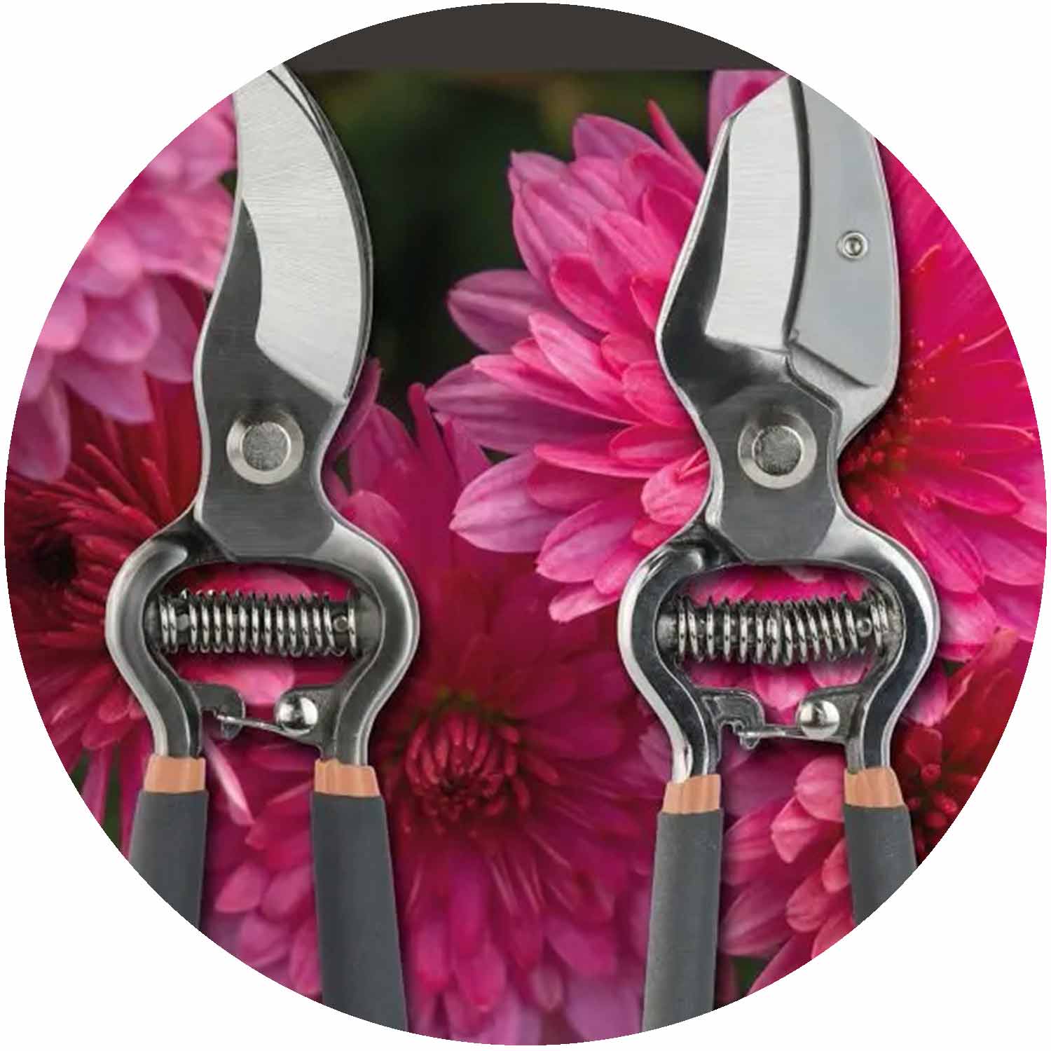 Traditional Secateurs Twin Pack