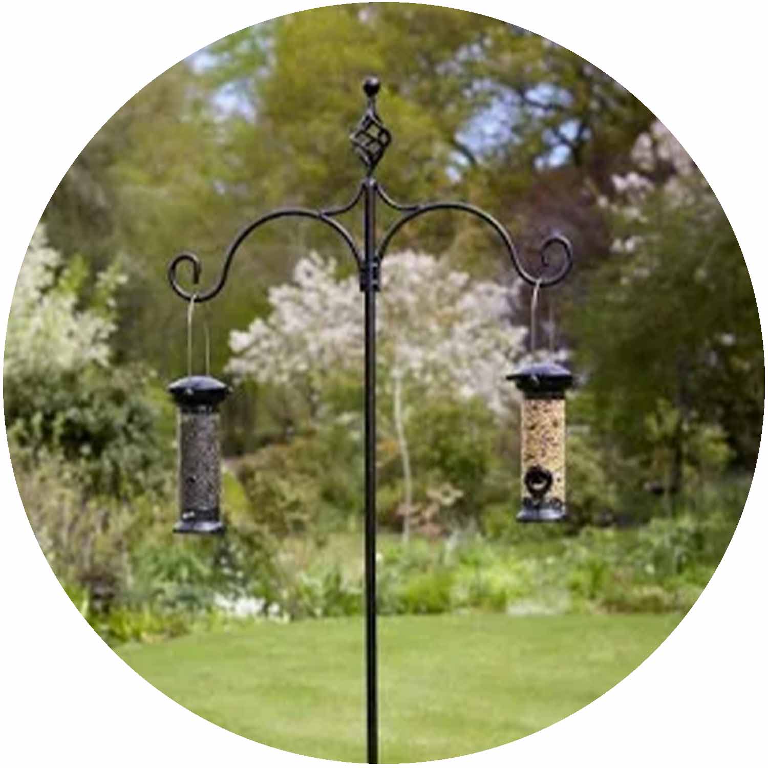 Spiral Shepherds Crook Double