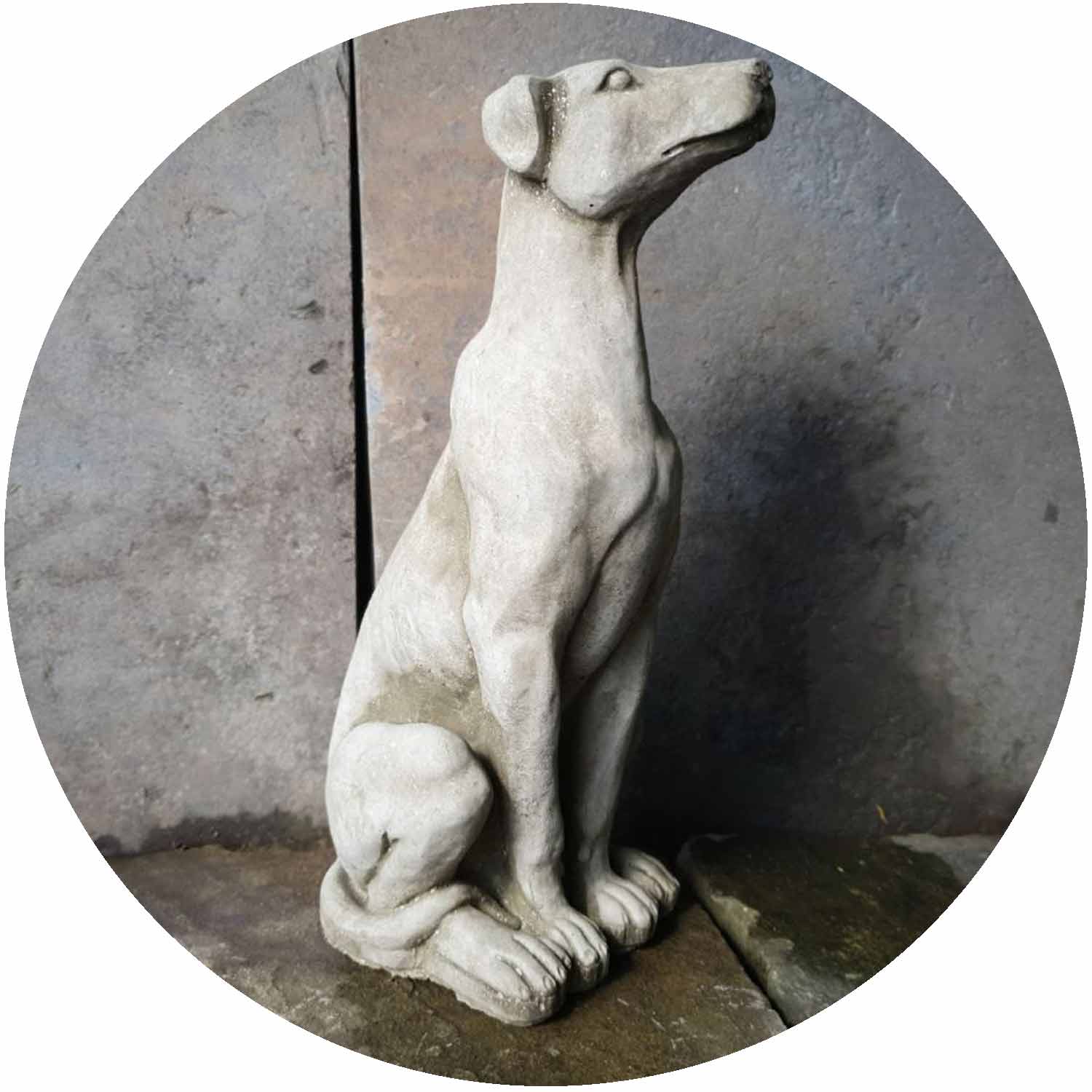 Sitting Dog