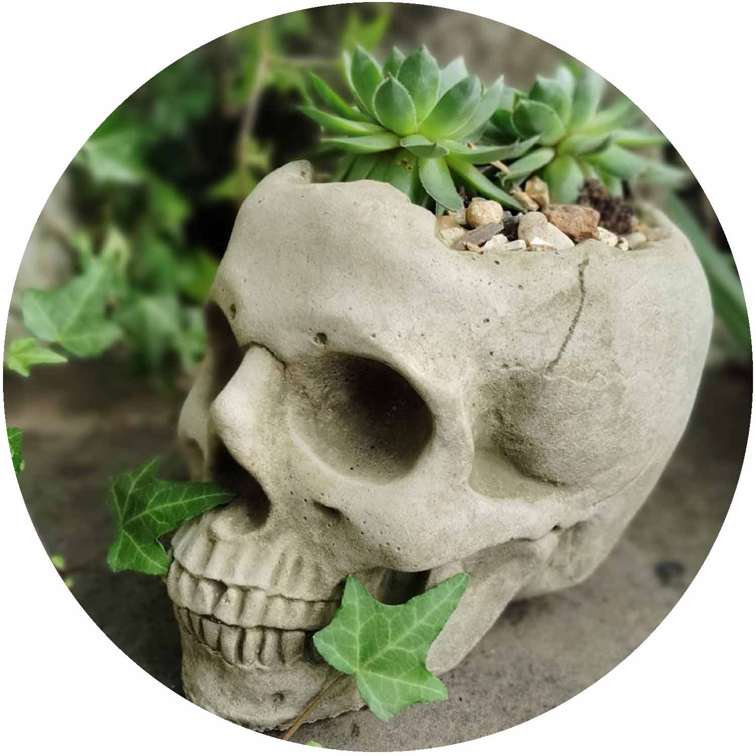 Skull Pot