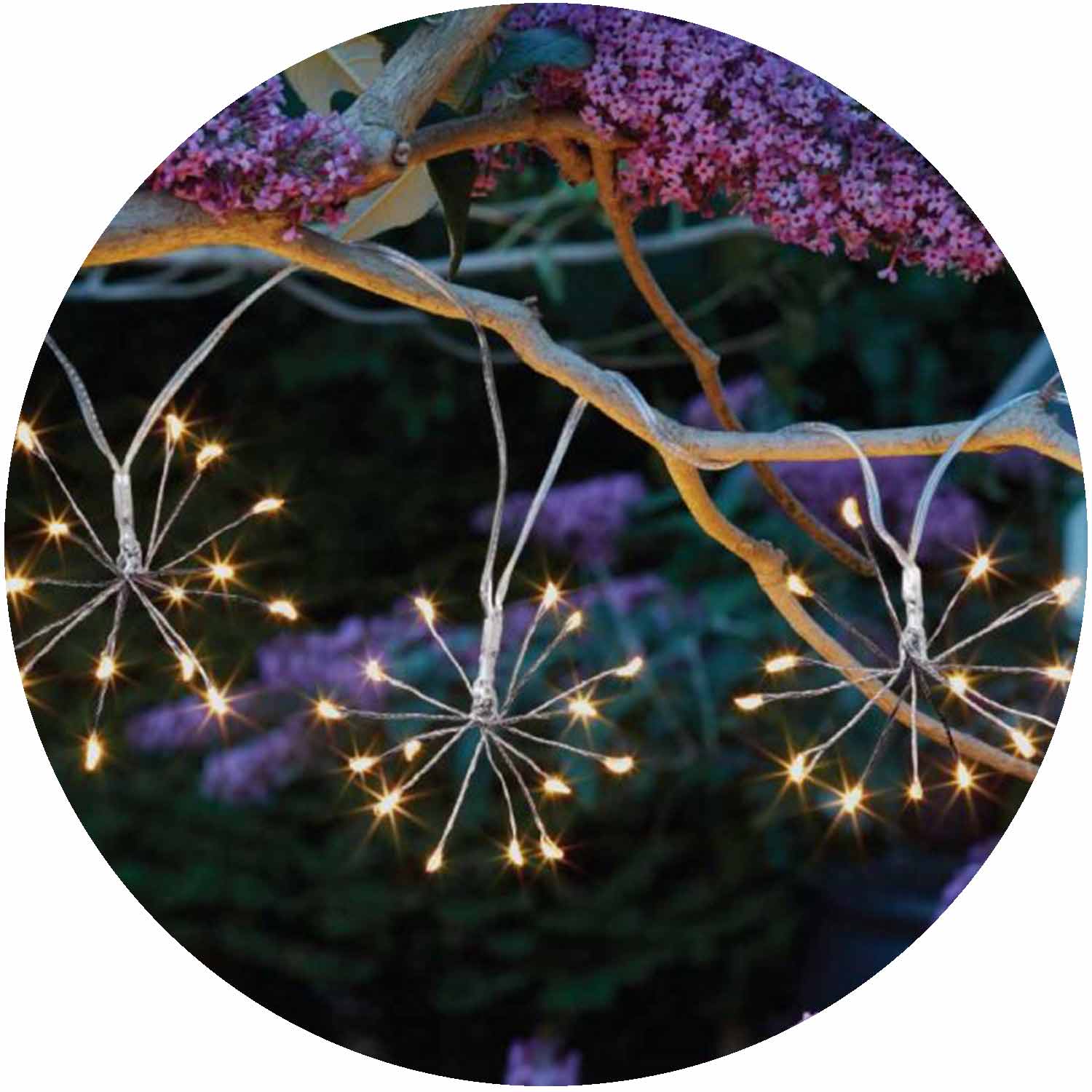 Starburst Lights Set of 10