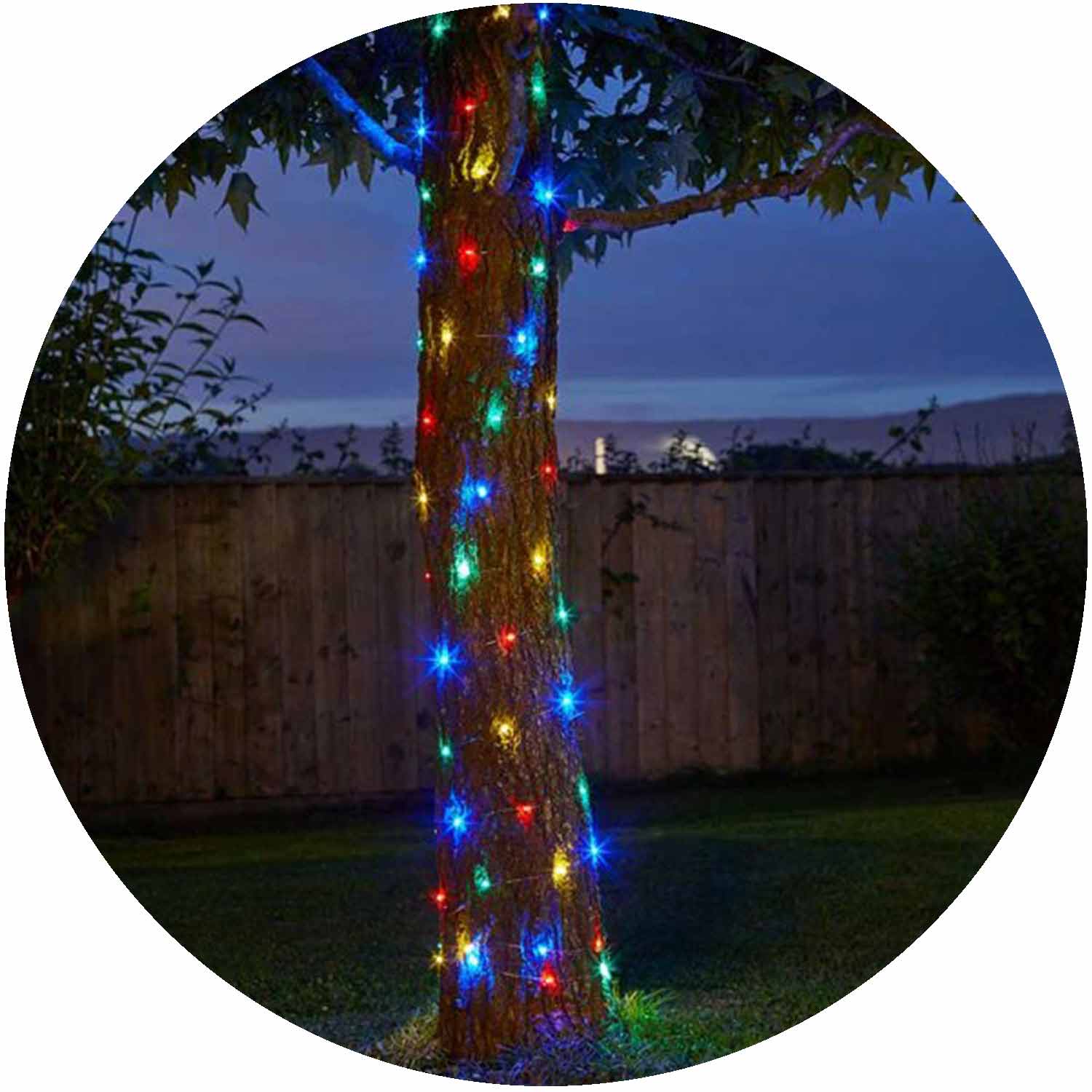 Firefly String Lights 100 Multi Coloured