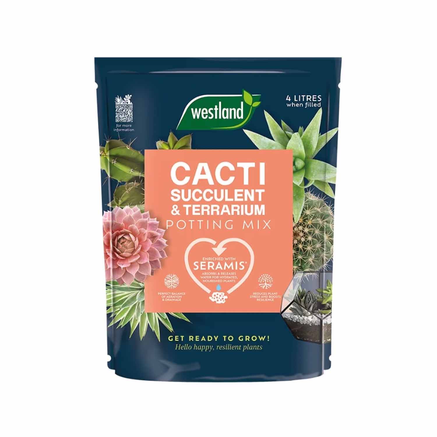 Cacti, Succulent & Terrarium Potting Mix 4L