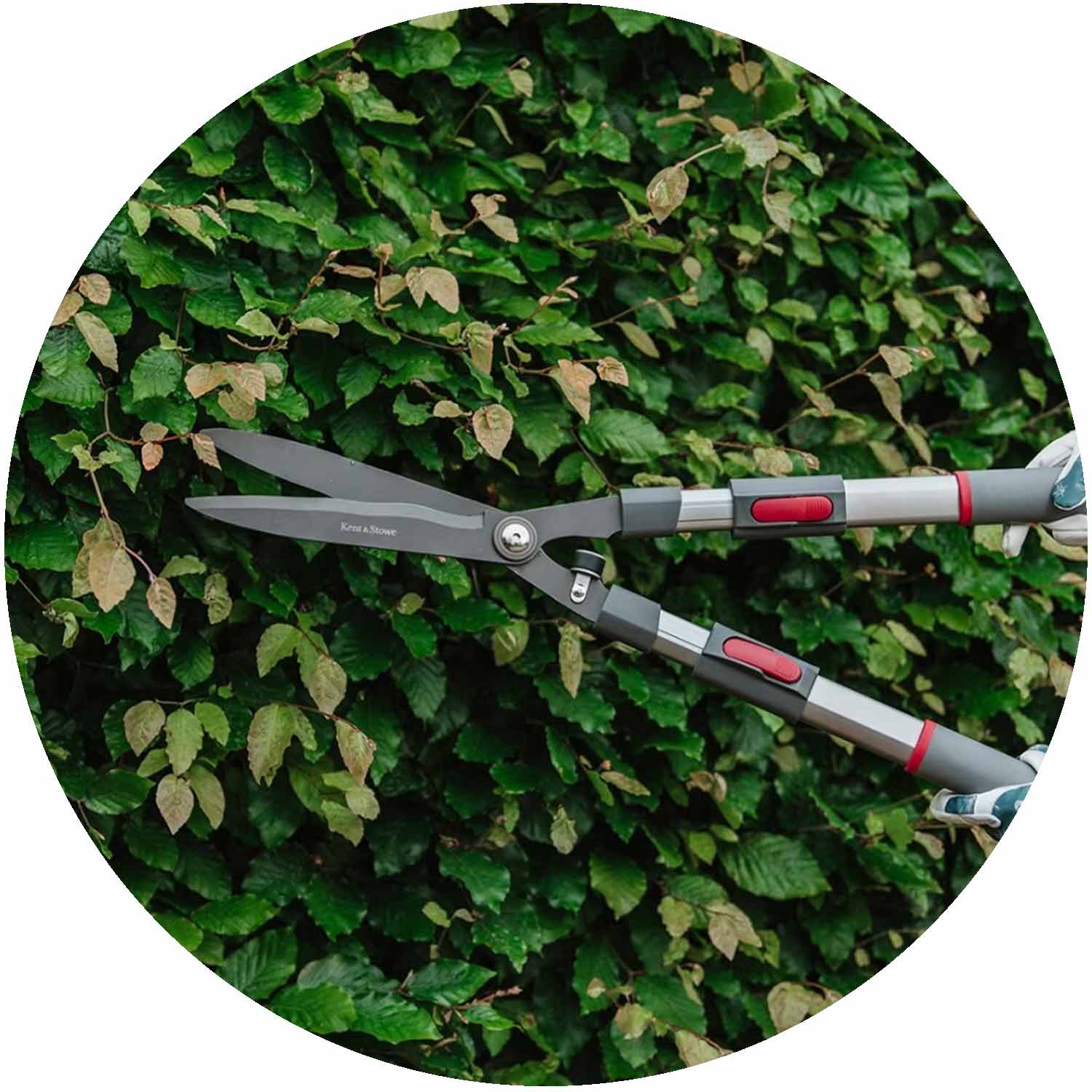 Telescopic Hedge Shears