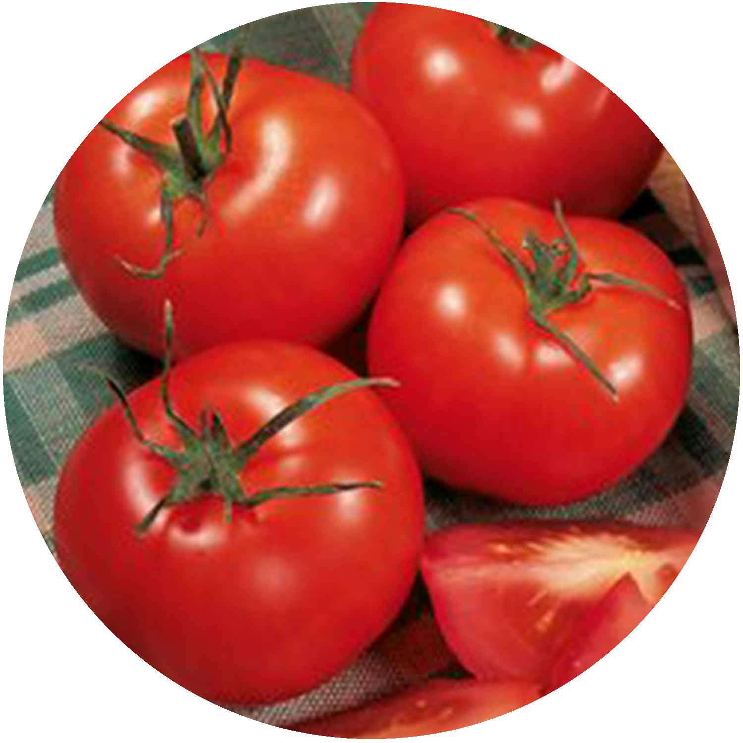 (GK) Tomato - Alicante 9cm