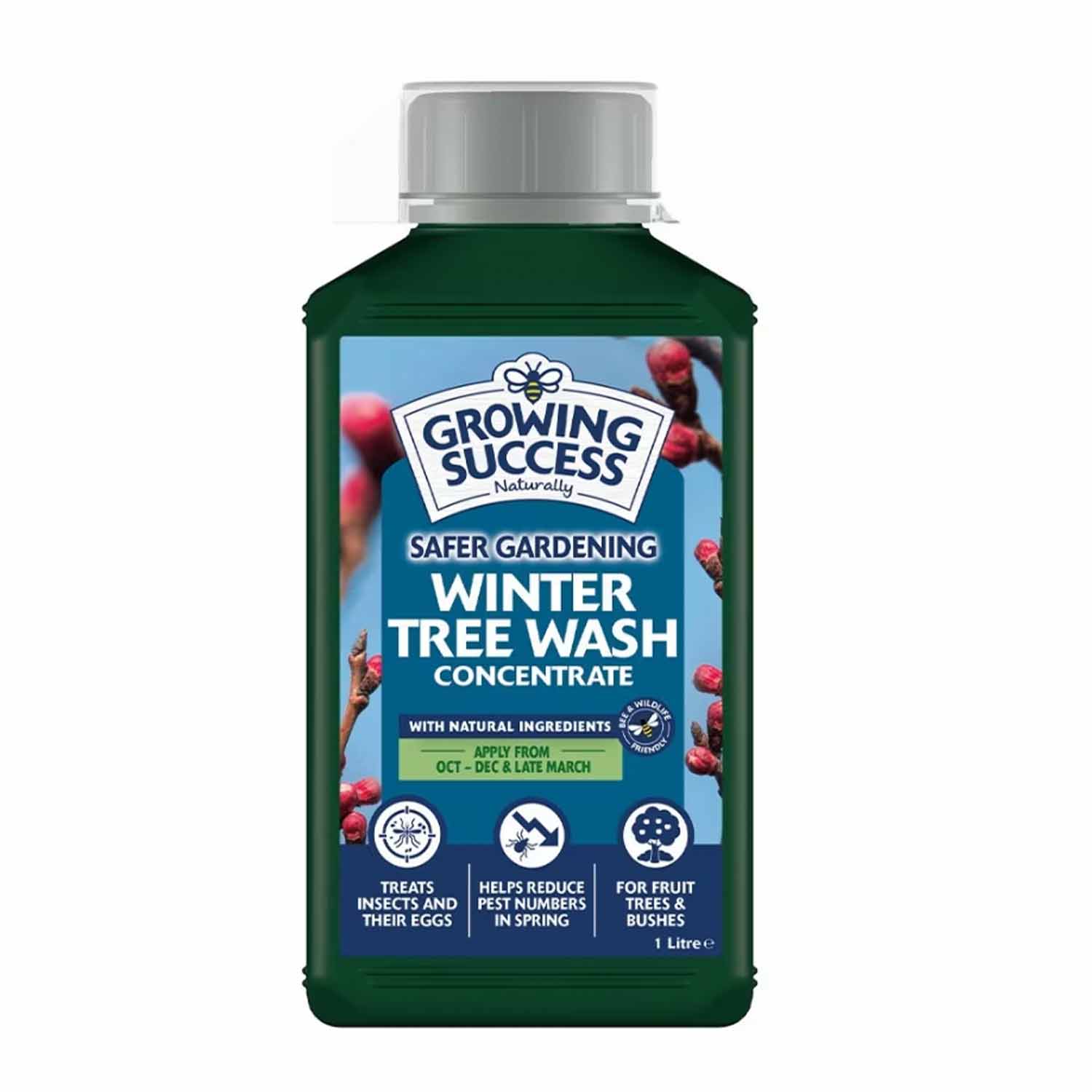 Winter Tree Wash