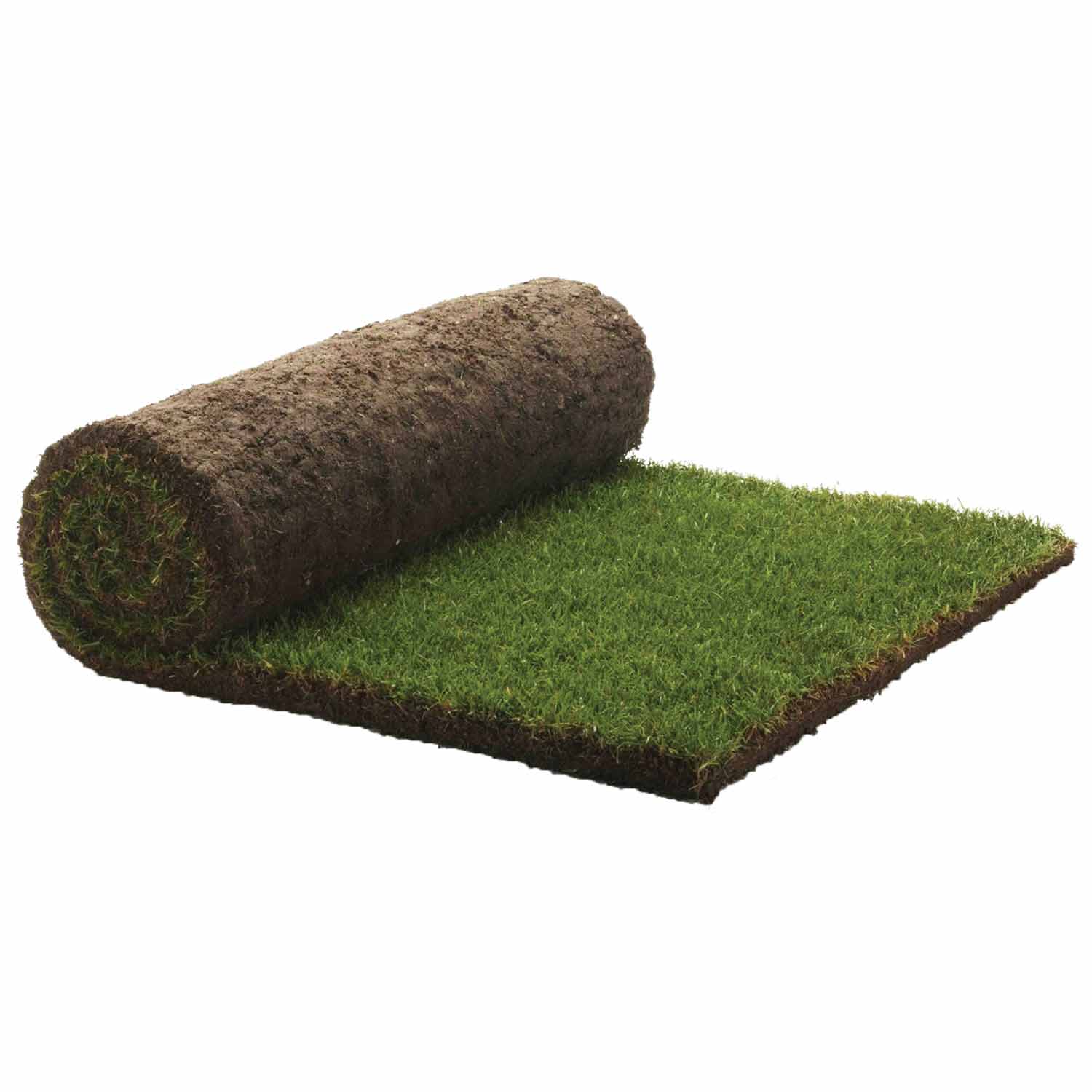 Rolawn Turf 1m2