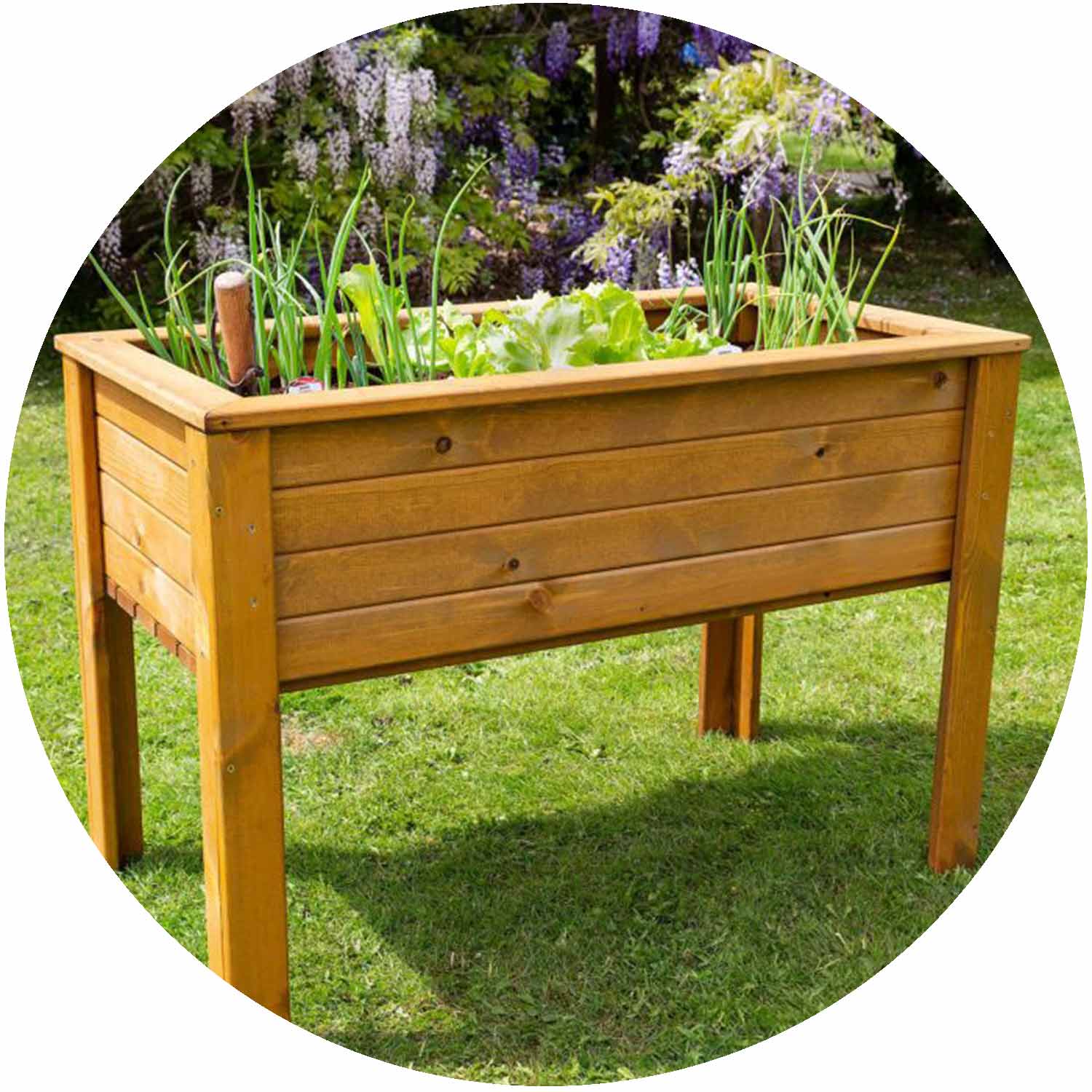 'Grow Your Own' Vegetable Planter