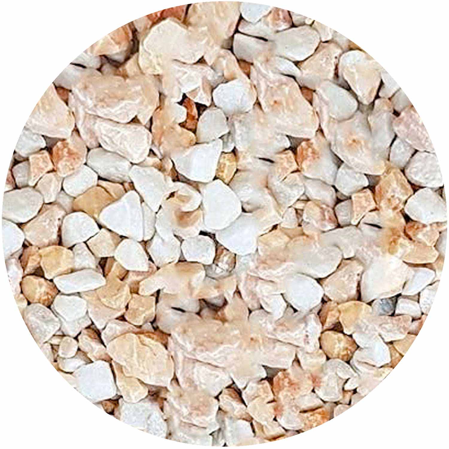 Winter Rose 20mm Bulk Bag