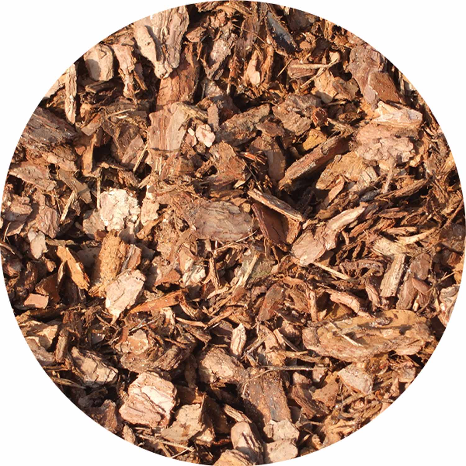 Pine Ornamental Bulk Bag