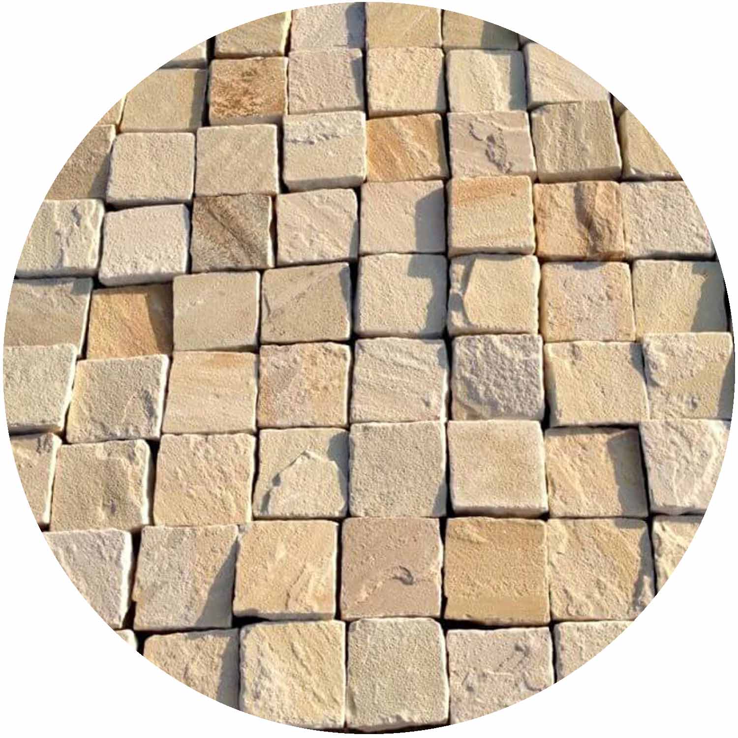 Sandstone Sett Fossil Mint