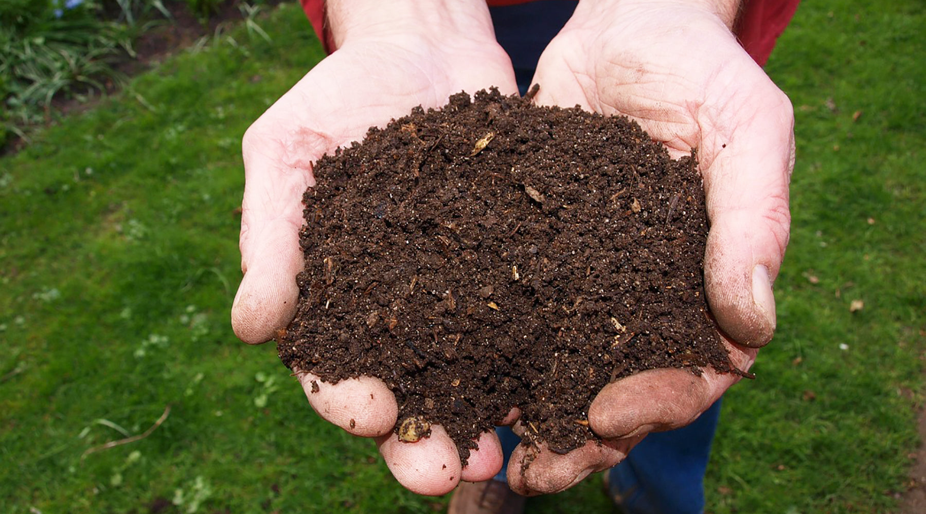 Making Your Own Garden Compost