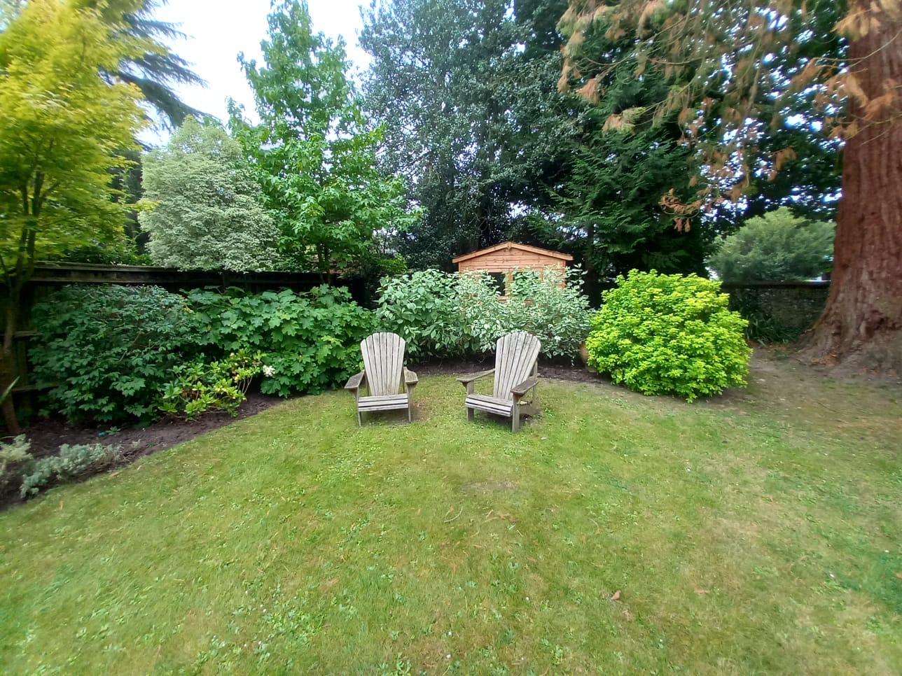 Top Five Garden Jobs for September