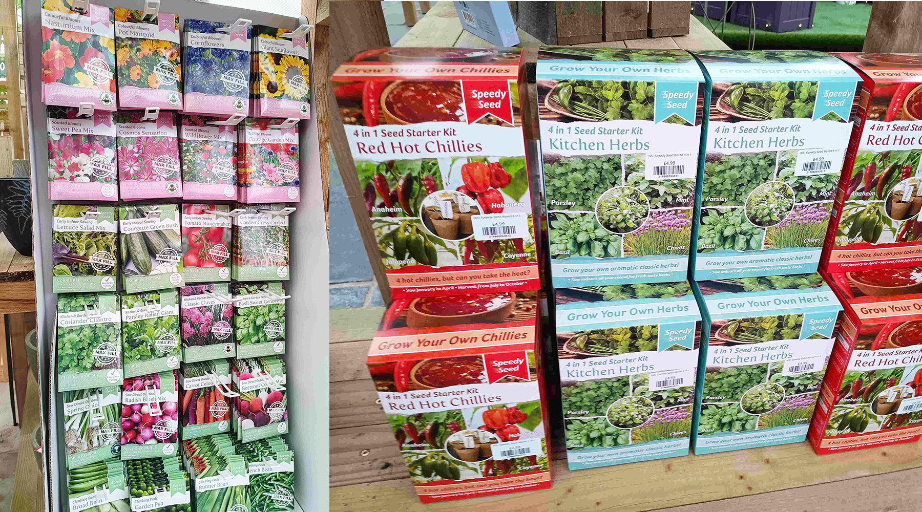 Tips for Sowing Seeds Indoors