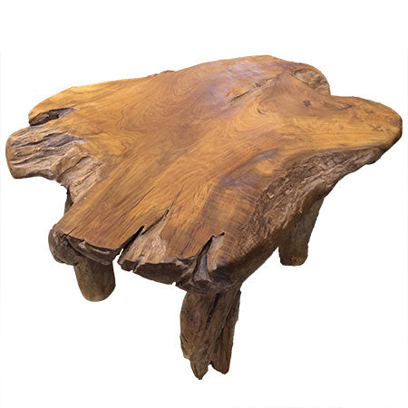 Root Coffee Table