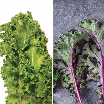 (GK) Cut & Grow Kale Mix 6Pk